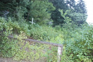 Historic cemetery at Alexandra Lodge