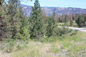 Monte Creek, southeast of Kamloops, British Columbia