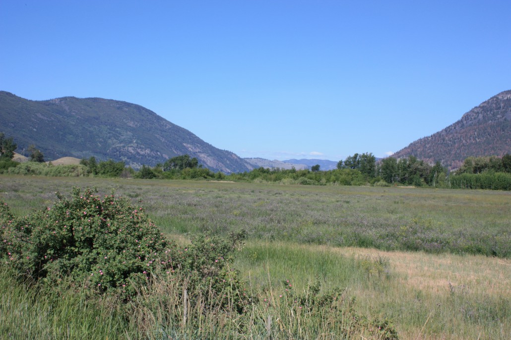 The Nicola Valley looking north toward Douglas Lake (to the right) and Kamloops