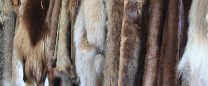 Shoes in the fur trade