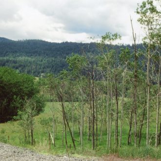 The Louchameen [Zouchameen] Road