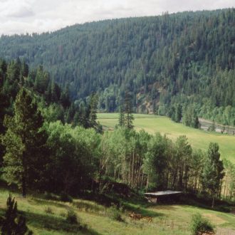 Collin’s Gulch